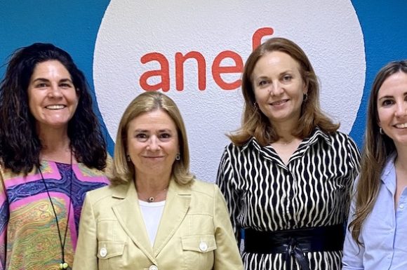 Meisys se adhiere a ANEFP